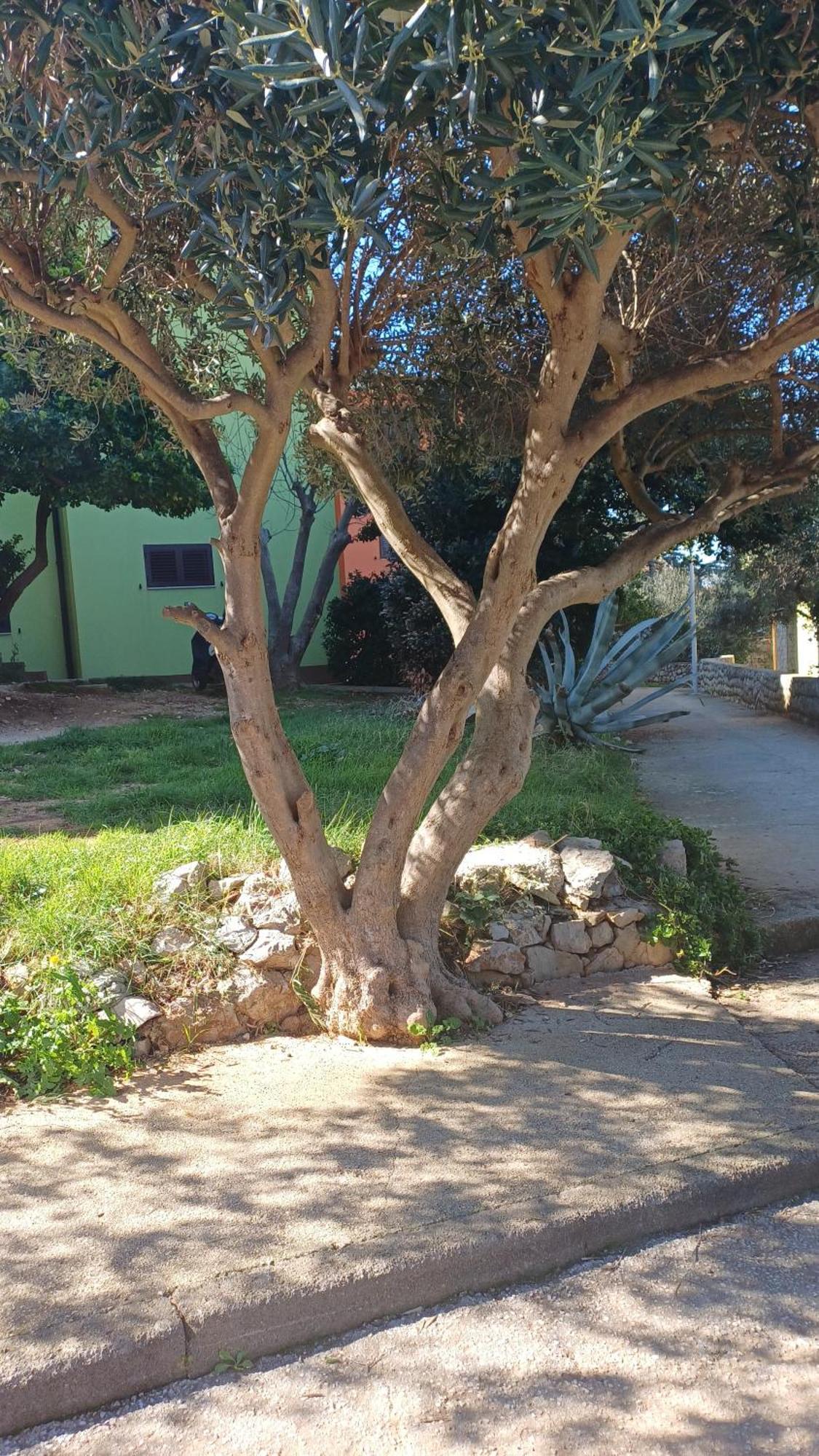 Dairos2 Appartement Mali Lošinj Buitenkant foto